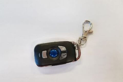 Golf Bush Challenger  Replacement Roof Lift Key Fob Only